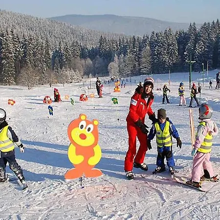 In Javornik Near Krkonose Park 펜션