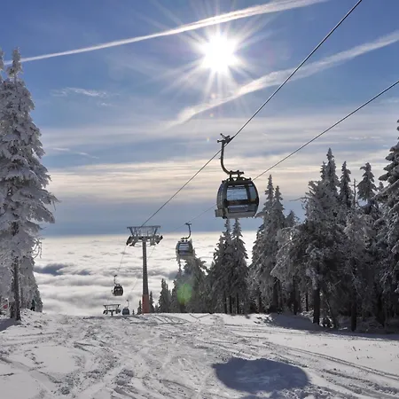 In Javornik Near Krkonose Park 펜션 *