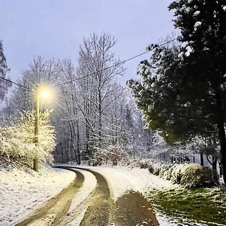 In Javornik Near Krkonose Park *