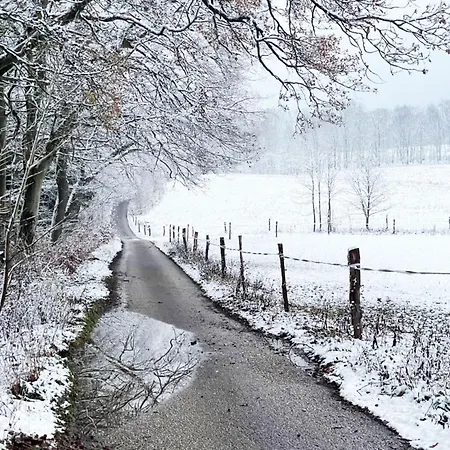 In Javornik Near Krkonose Park