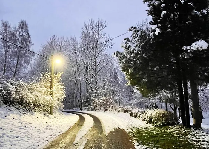 In Javornik Near Krkonose Park *
